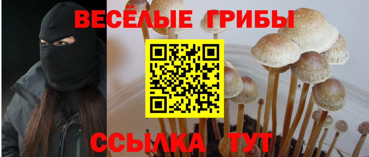 Новотроицк  Галлюциногенные грибы GOLDEN TEACHER  Галлюциногенные грибы прущие грибы  Вход с VPN 